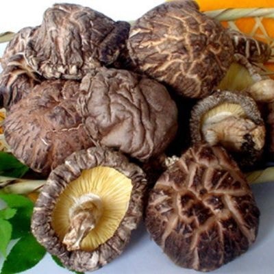 椎茸